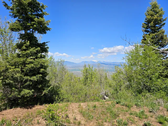 27 Pine Ridge Rd, Mt Pleasant, Utah 84647