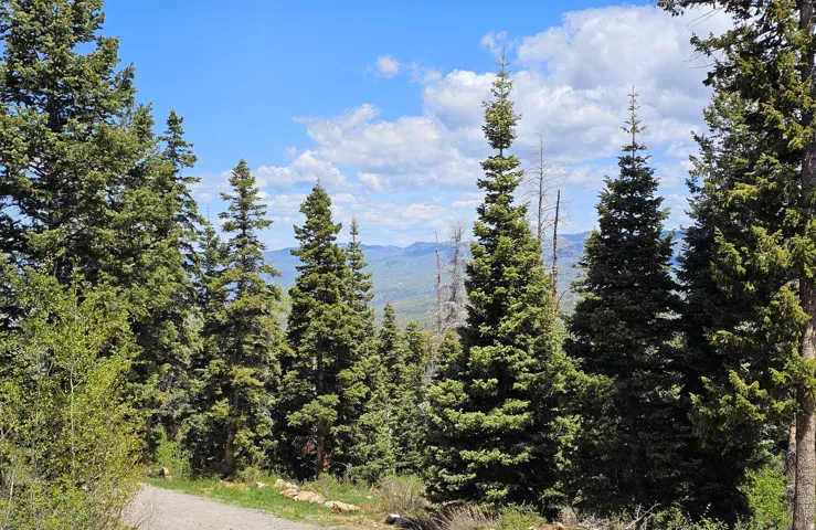 27 Pine Ridge Rd, Mt Pleasant, Utah 84647