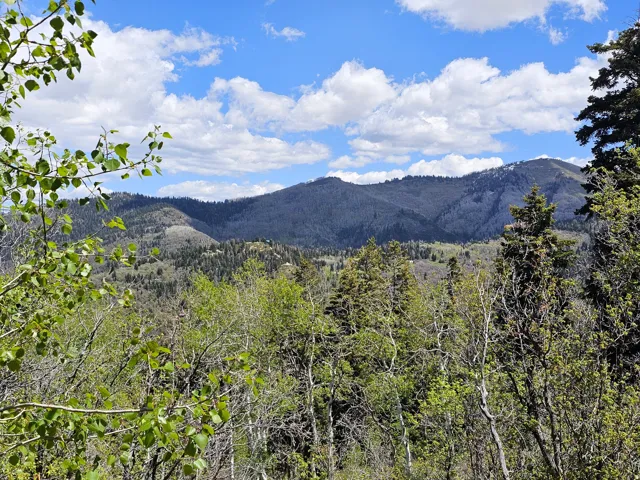 27 Pine Ridge Rd, Mt Pleasant, Utah 84647