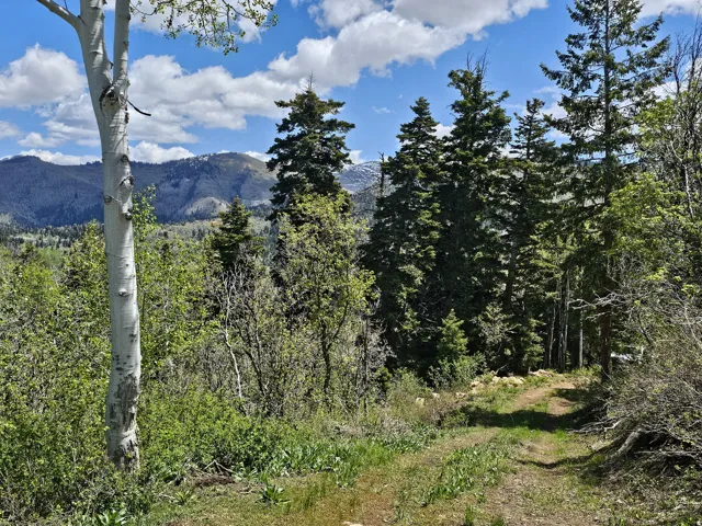 27 Pine Ridge Rd, Mt Pleasant, Utah 84647
