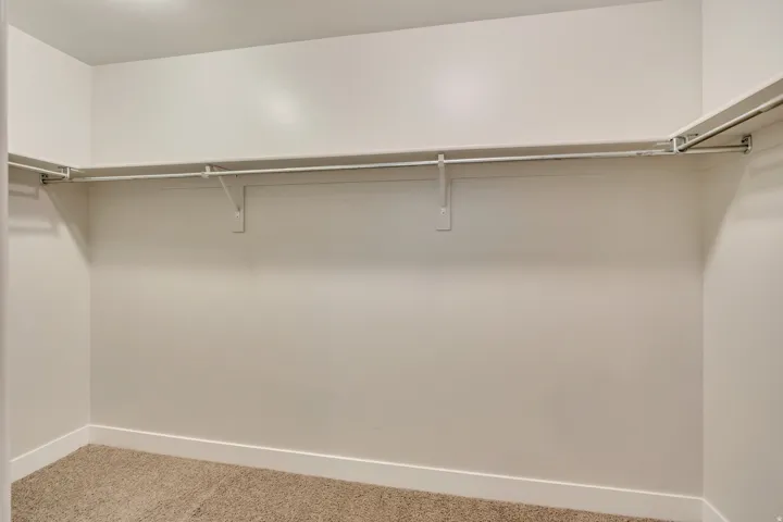 Walk in closet with carpet
