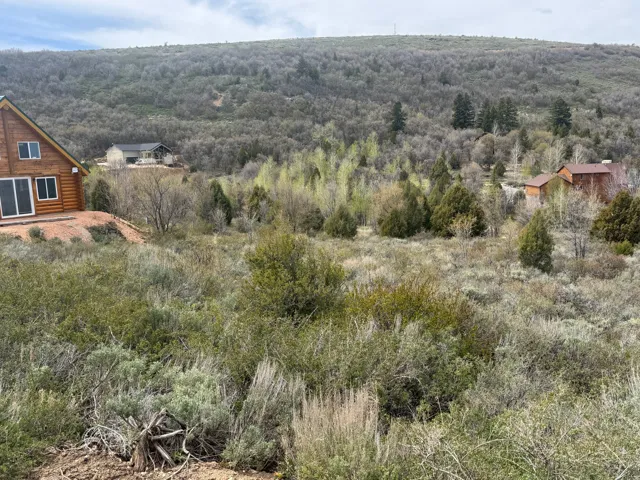 View of mountain backdrop featuring a forest