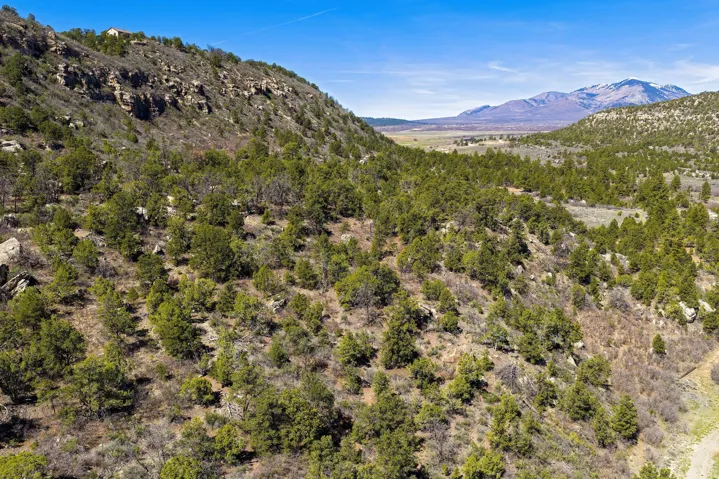 Mountain view with a forest