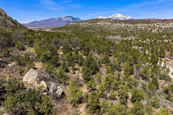 View of mountain backdrop featuring a forest