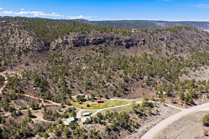 Bird's eye view of a forest