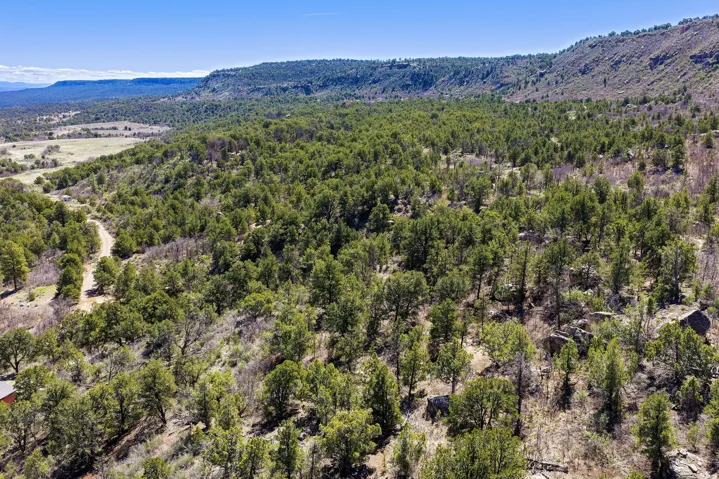 Aerial view of a mountainous background and a heavily wooded area