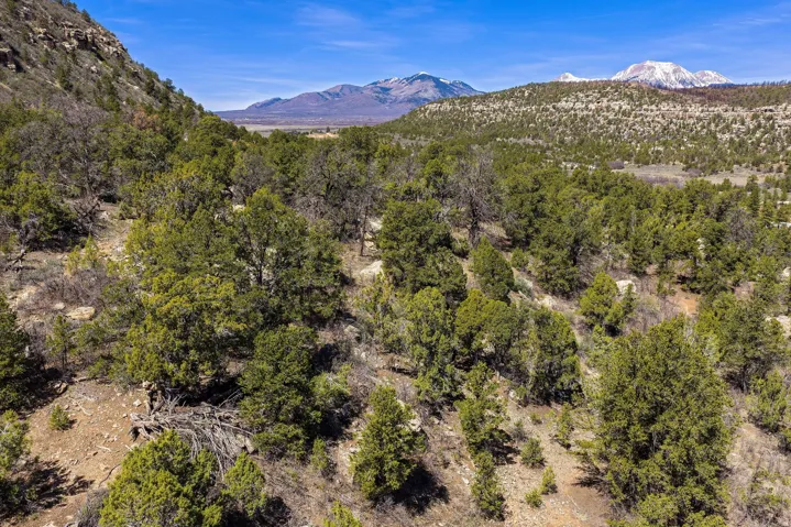 View of mountain background
