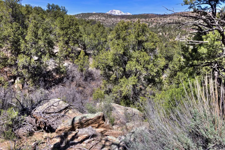 Mountain view with a heavily wooded area