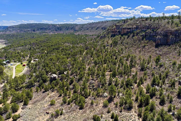 Aerial view of a heavily wooded area and mountains