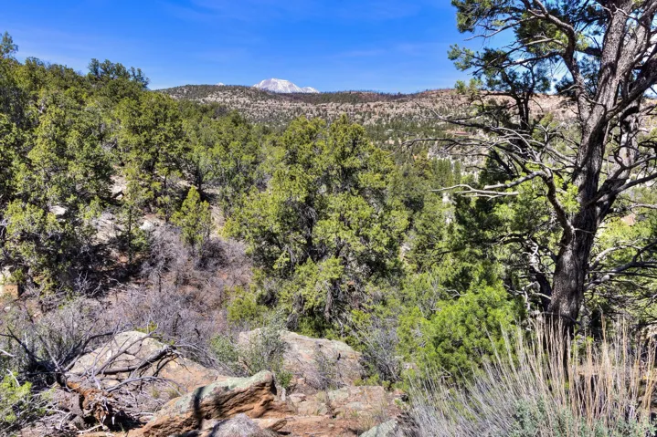 View of mountain background featuring a forest