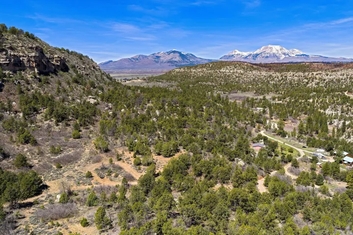 View of mountain background with a heavily wooded area