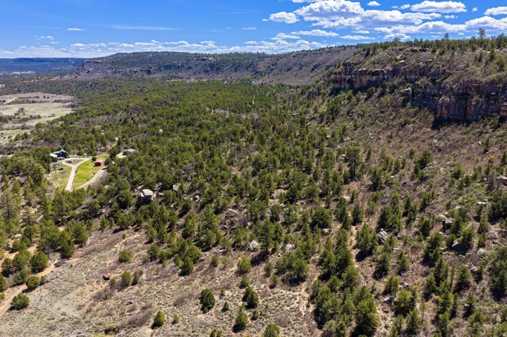 Aerial view of a forest and mountains