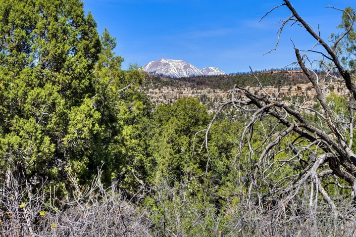 View of mountain background