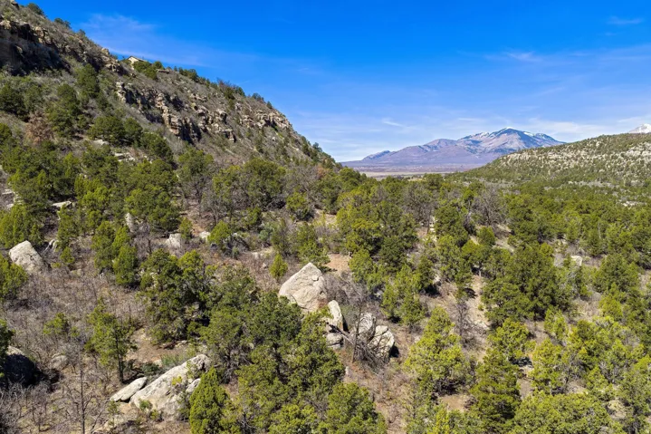 View of mountain backdrop with a heavily wooded area