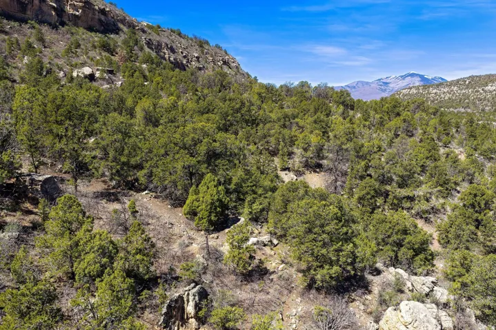 View of mountain backdrop with a heavily wooded area