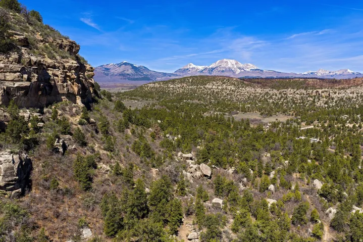 Mountain view with a forest