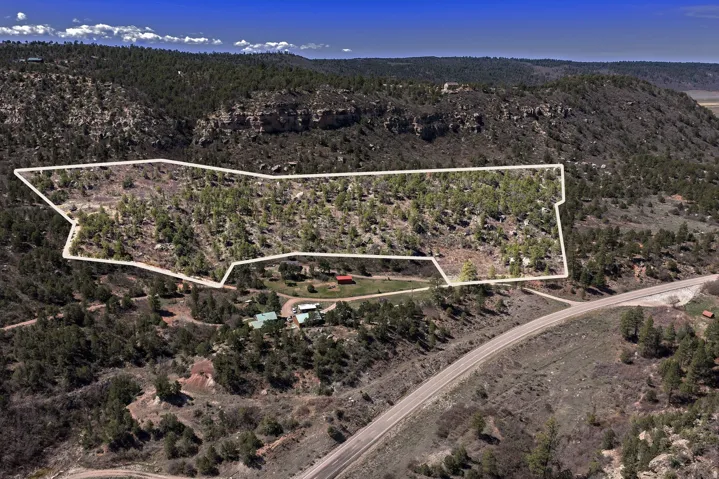 Aerial view of property and surrounding area with a heavily wooded area and property parcel outlined