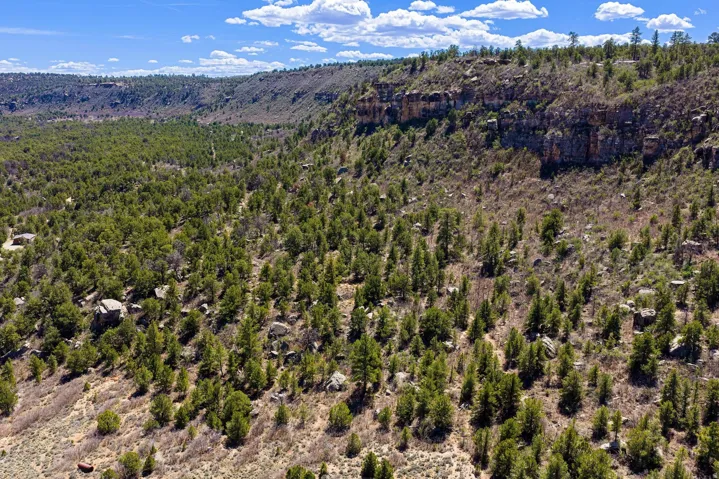 View of mountain backdrop with a forest
