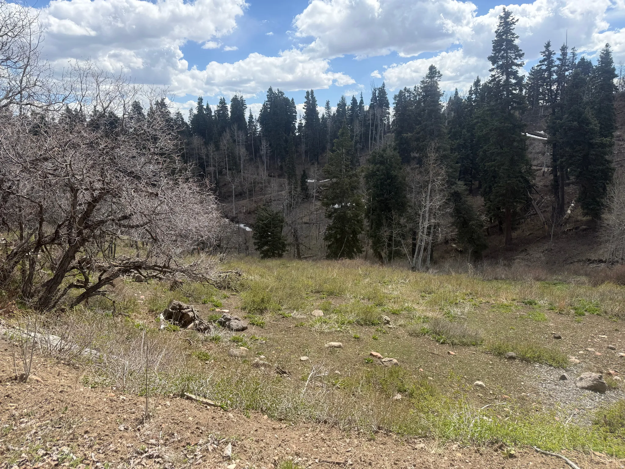 View of undeveloped land