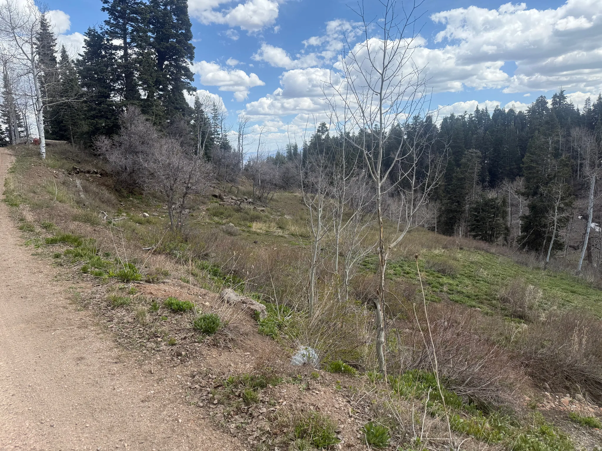 View of undeveloped land