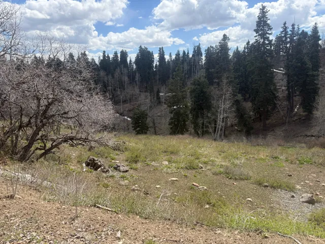 View of undeveloped land