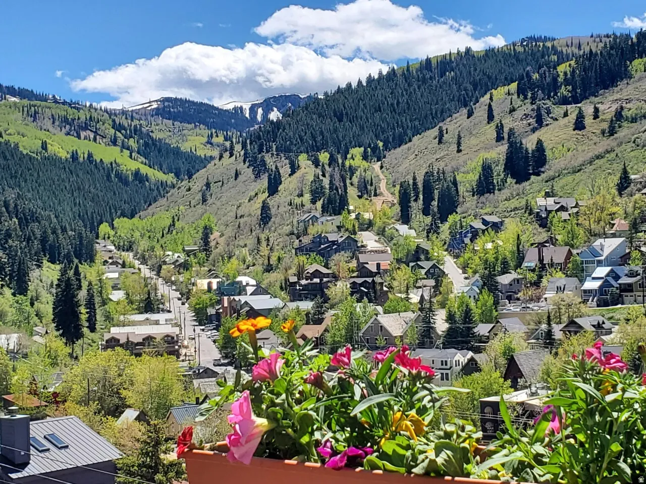 Bird's eye view of a heavily wooded area and a mountainous background