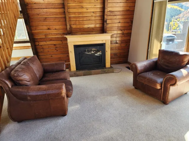 Carpeted living room with a fireplace and wood walls