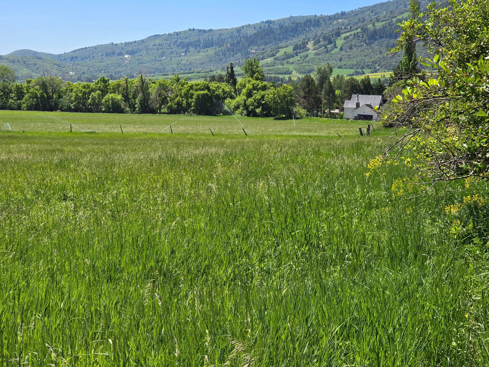 Mountain view with rural landscape