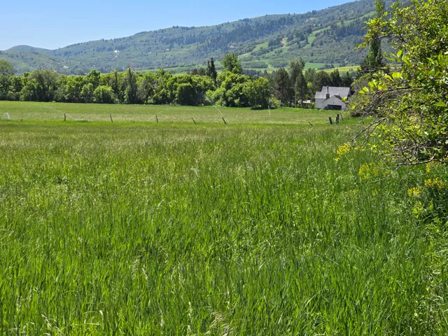 Mountain view with rural landscape