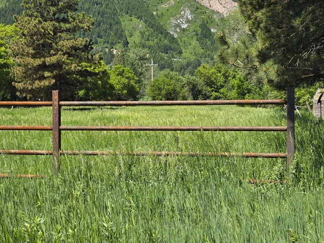 View of gate