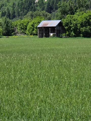 View of green lawn with an outbuilding and a view of countryside