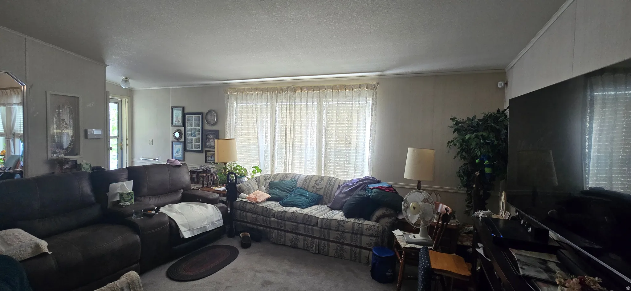Living area featuring carpet floors, a textured ceiling, and crown molding