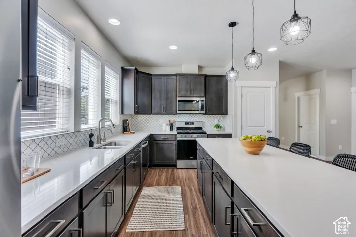 Spacious kitchen featuring an expansive island, dark wood-finish cabinetry, stainless steel appliances, and a tiled backsplash