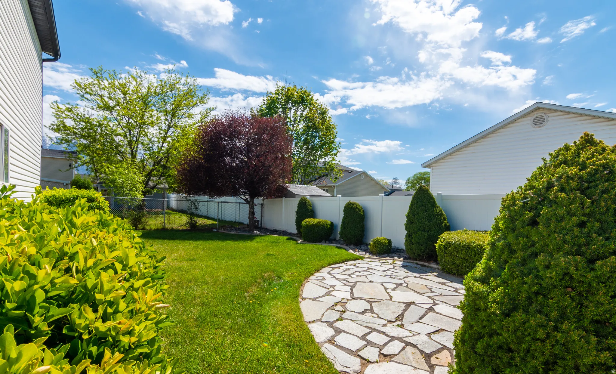 View of fenced backyard