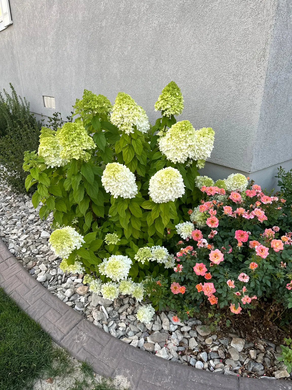 Exterior view of stucco siding