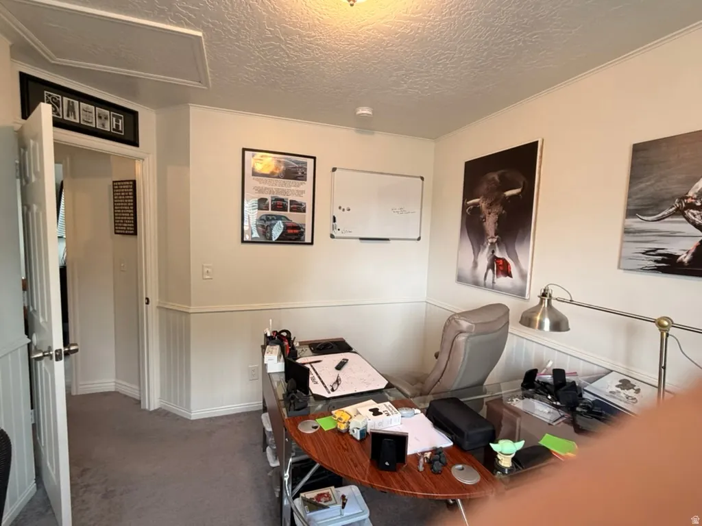 Office area with dark colored carpet, a textured ceiling, and wainscoting