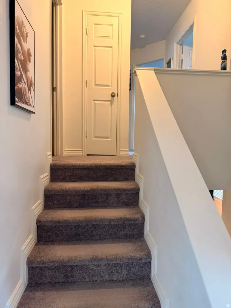 Stairs featuring a textured ceiling and carpet