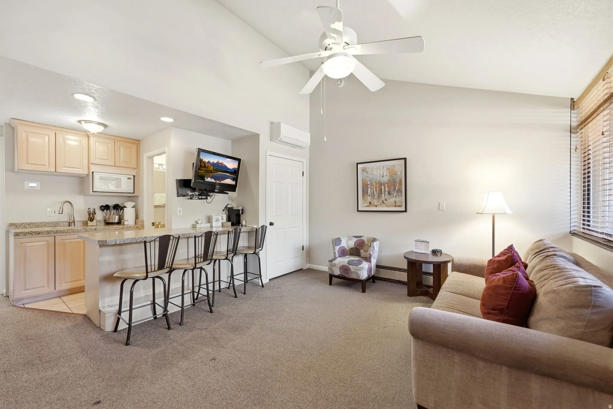Combined living space featuring a kitchenette with light wood cabinetry, a granite-finish countertop with an undermount sink, and a breakfast bar