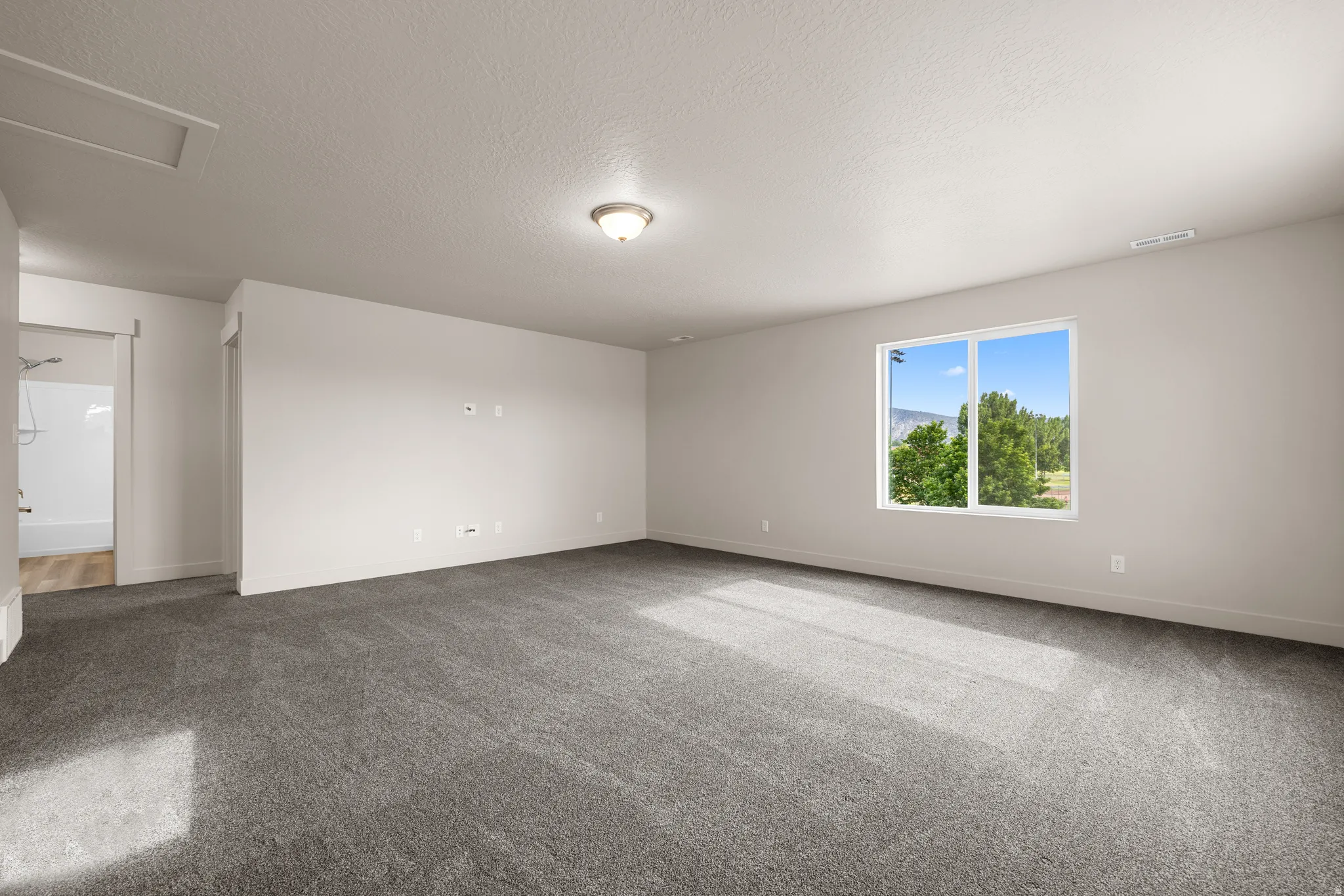 Unfurnished room featuring carpet and a textured ceiling