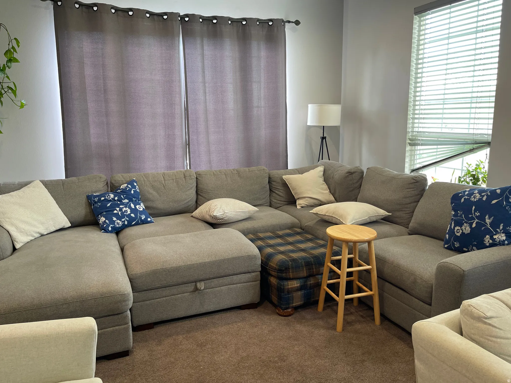 living room with lots of natural light