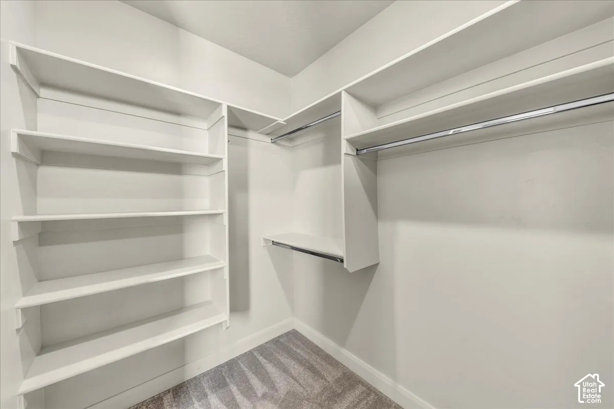 Walk in closet with light carpet