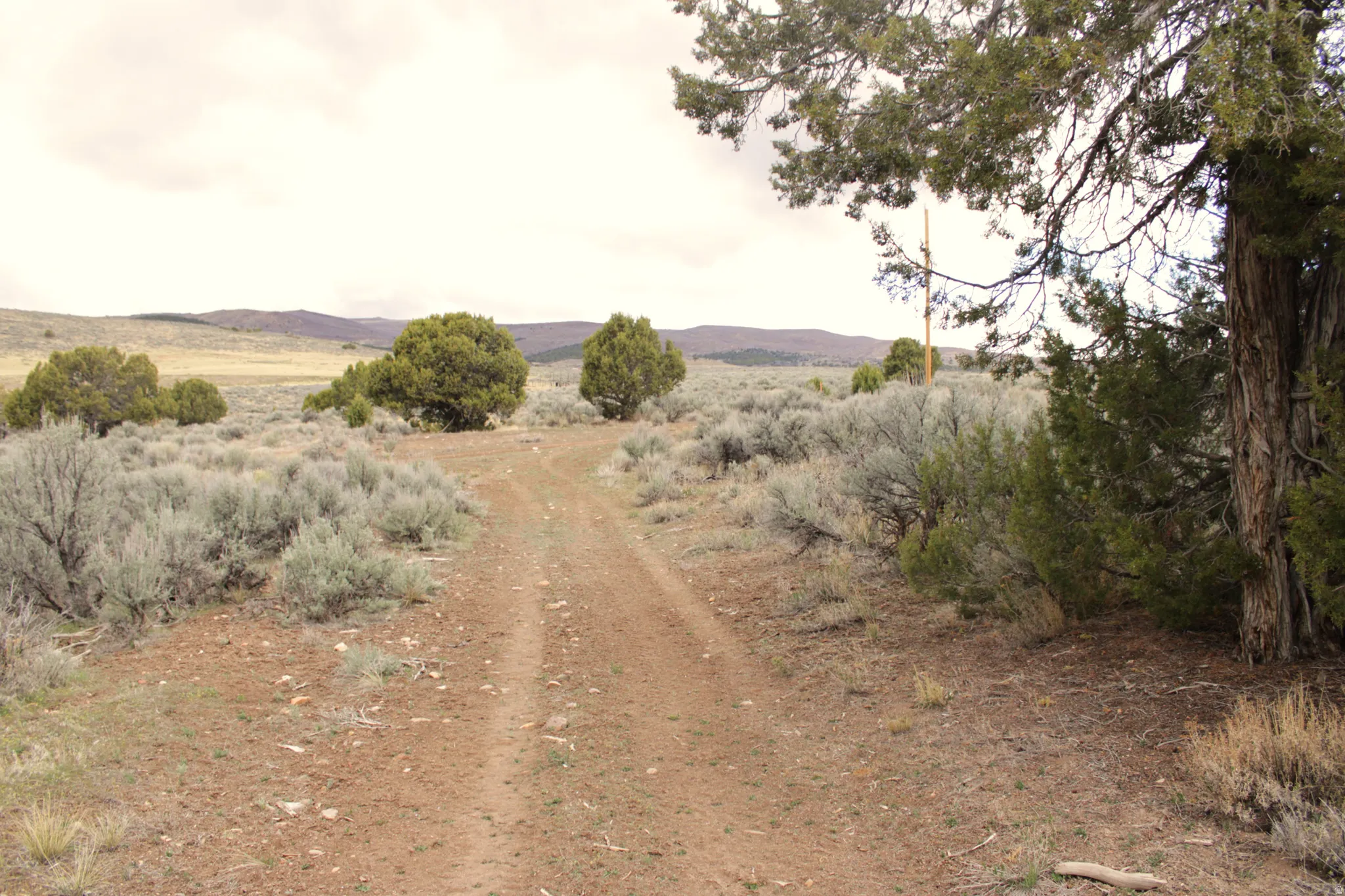 View of road featuring a mountain view and a view of countryside
