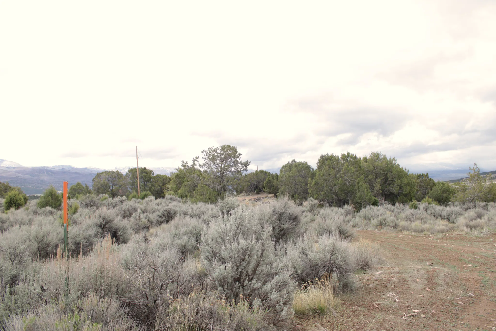 View of local wilderness with rural landscape