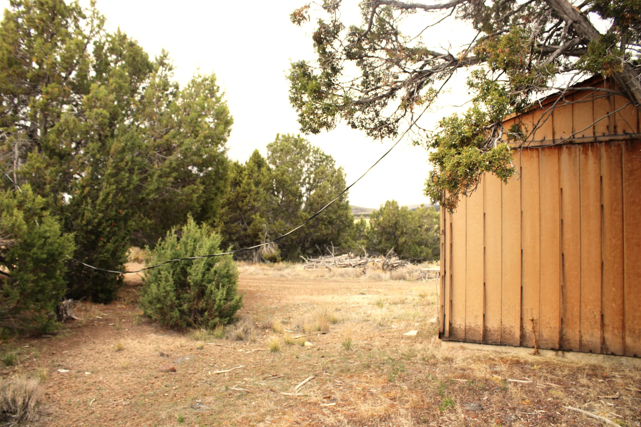 View of yard with a shed