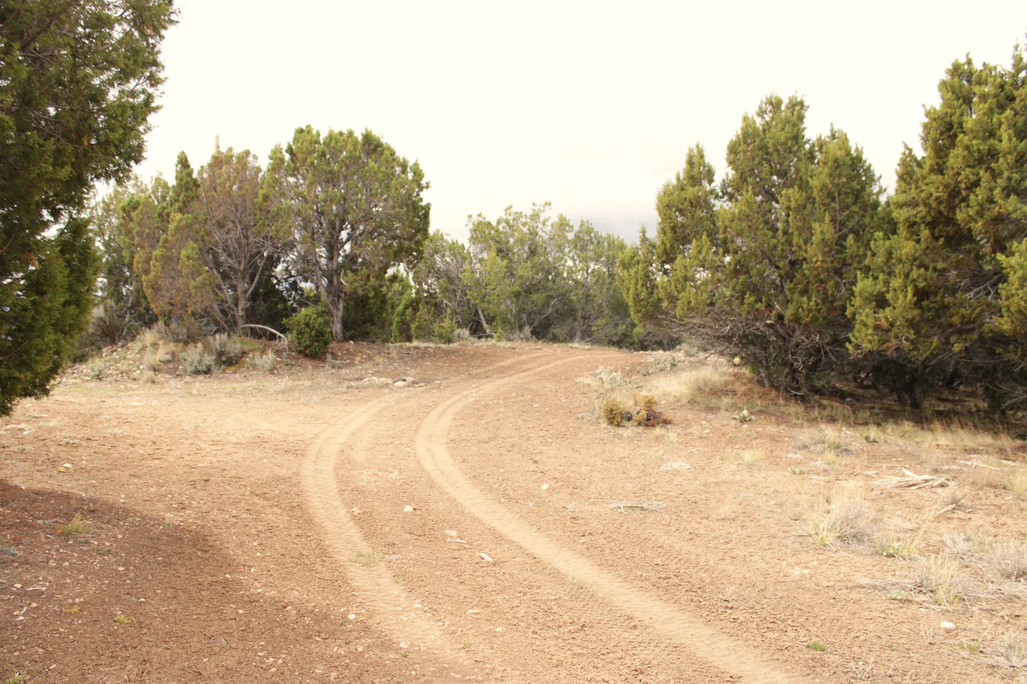 View of undeveloped land