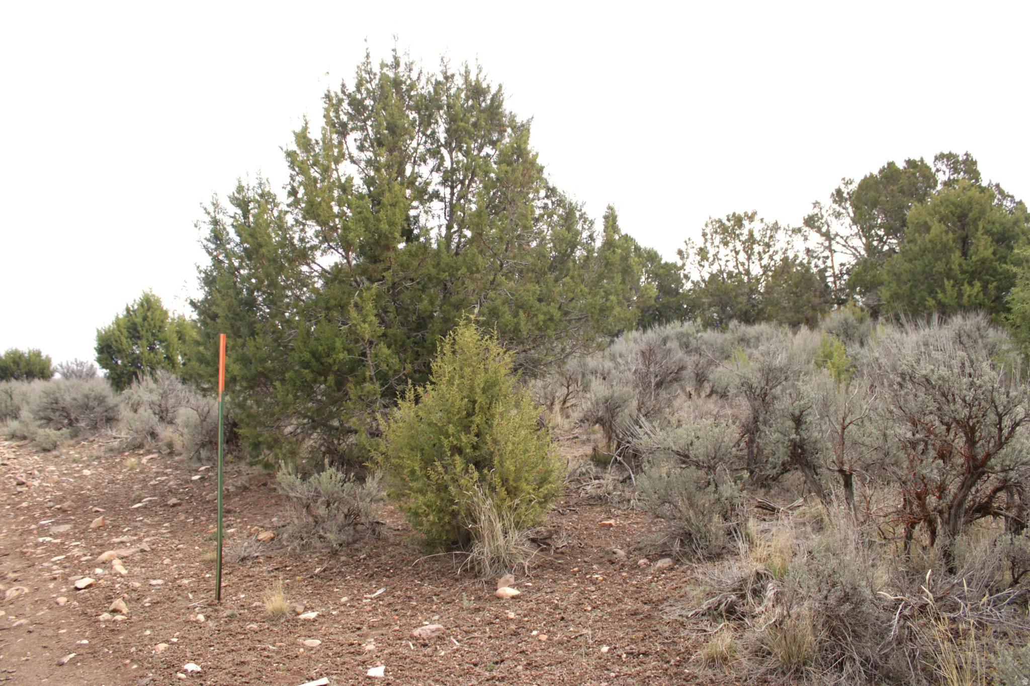 View of undeveloped land