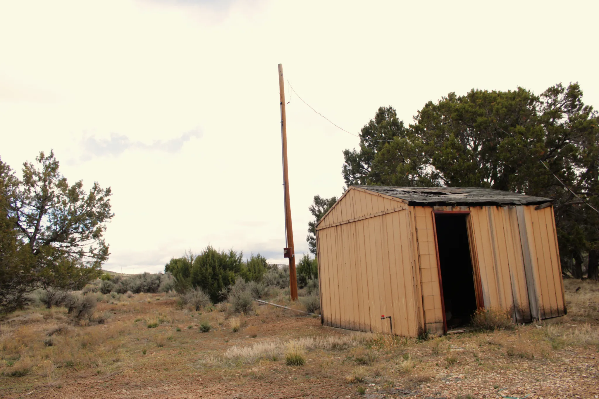 View of shed