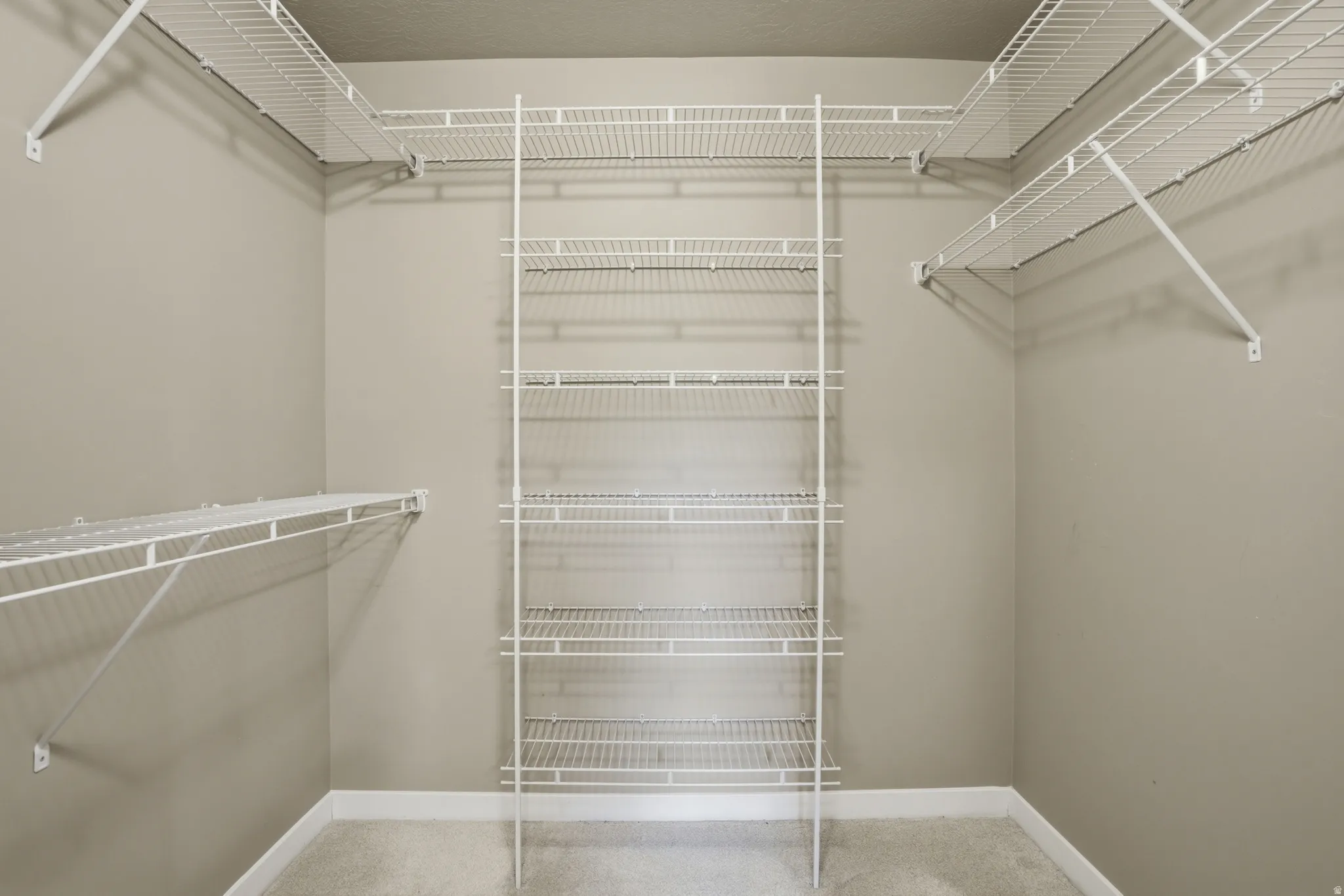 Walk in closet featuring light colored carpet