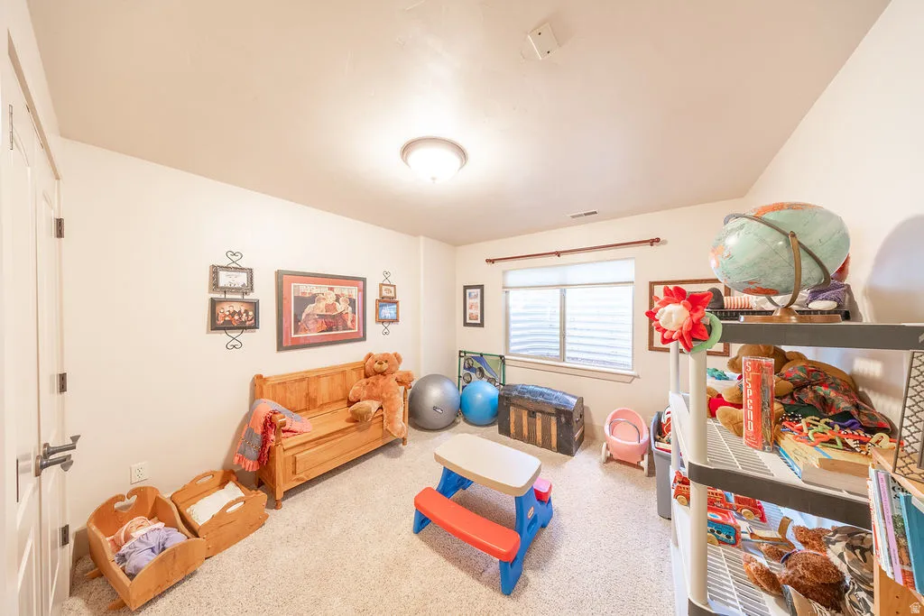 Rec room featuring carpet floors