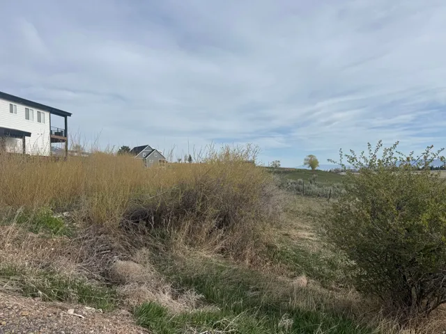 View of local wilderness featuring rural landscape